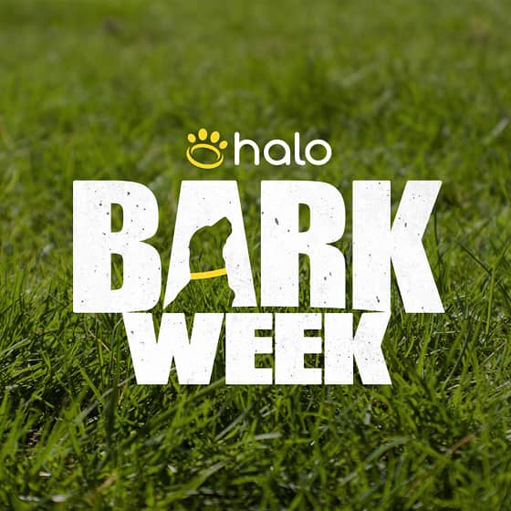 Halo Bark Week turf and campaign lockup