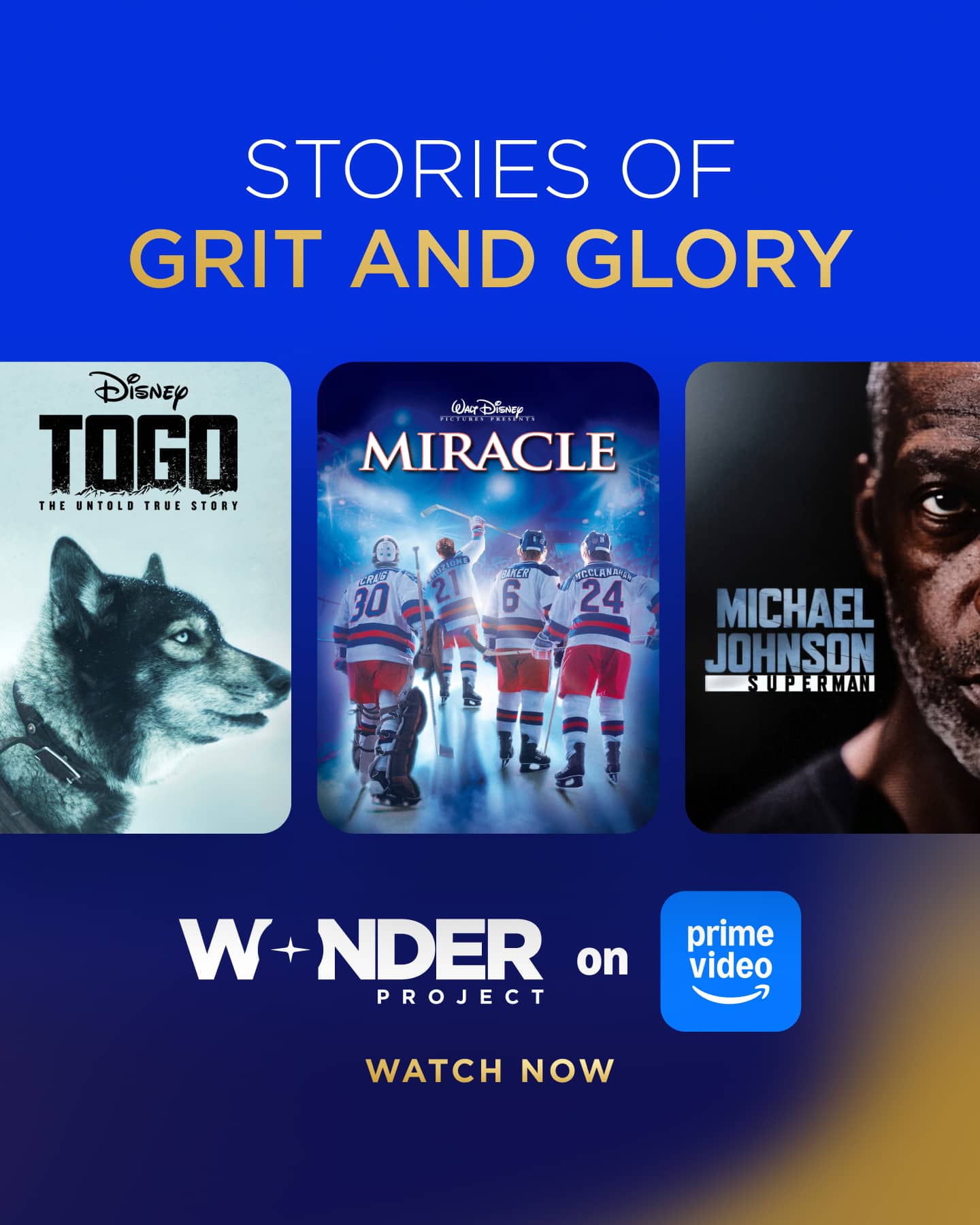 Catalog title campaign — Stories of Grit and Glory